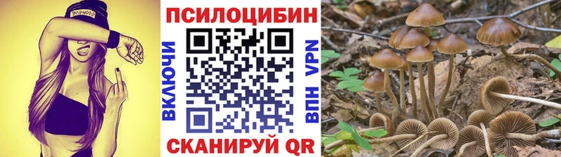 Купить закладки Инта Псилоцибиновые грибы мицелий