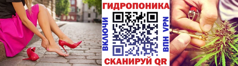 Купить где  Инта  Марихуана сатива 
